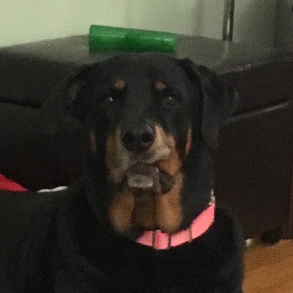 Poshmark profile picture for @humor